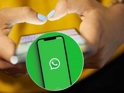 WhatsApp, sorpresa per gli utenti