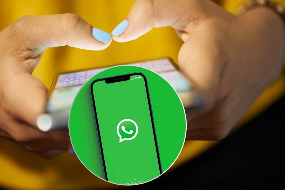 WhatsApp, sorpresa per gli utenti